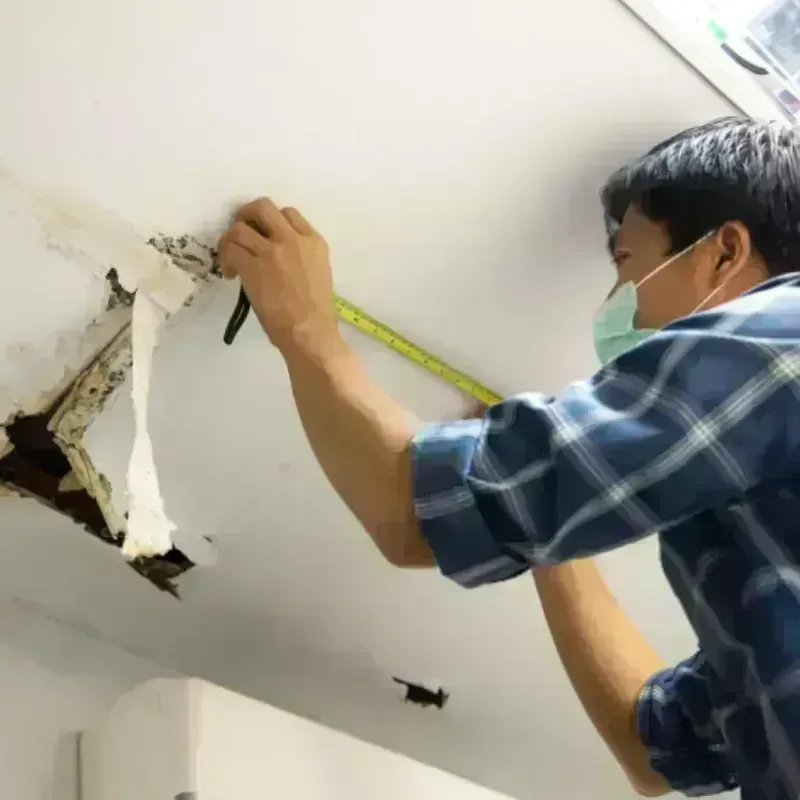 Ceiling And Wall Water Damage in Honolulu County, HI